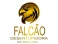 Logo de Falcão Desentupidora